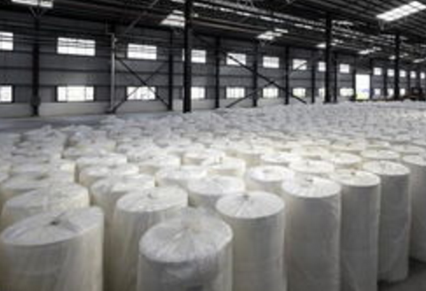 中国、印度将引领未来浆纸市场